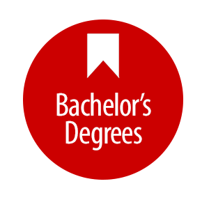 bachelor's degree