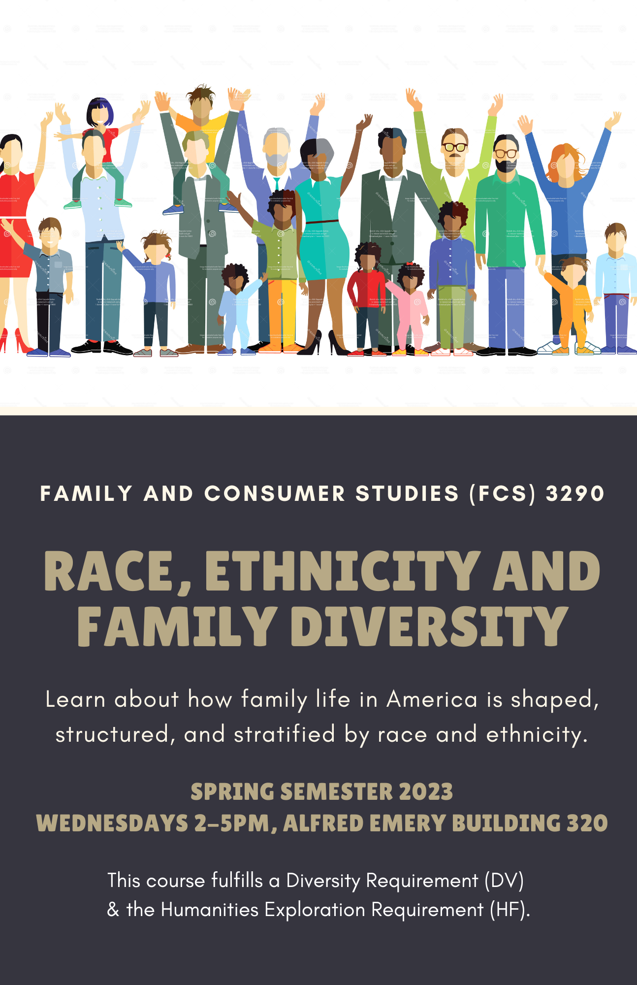 fcs 3290 race, ethnicity and family diversity
